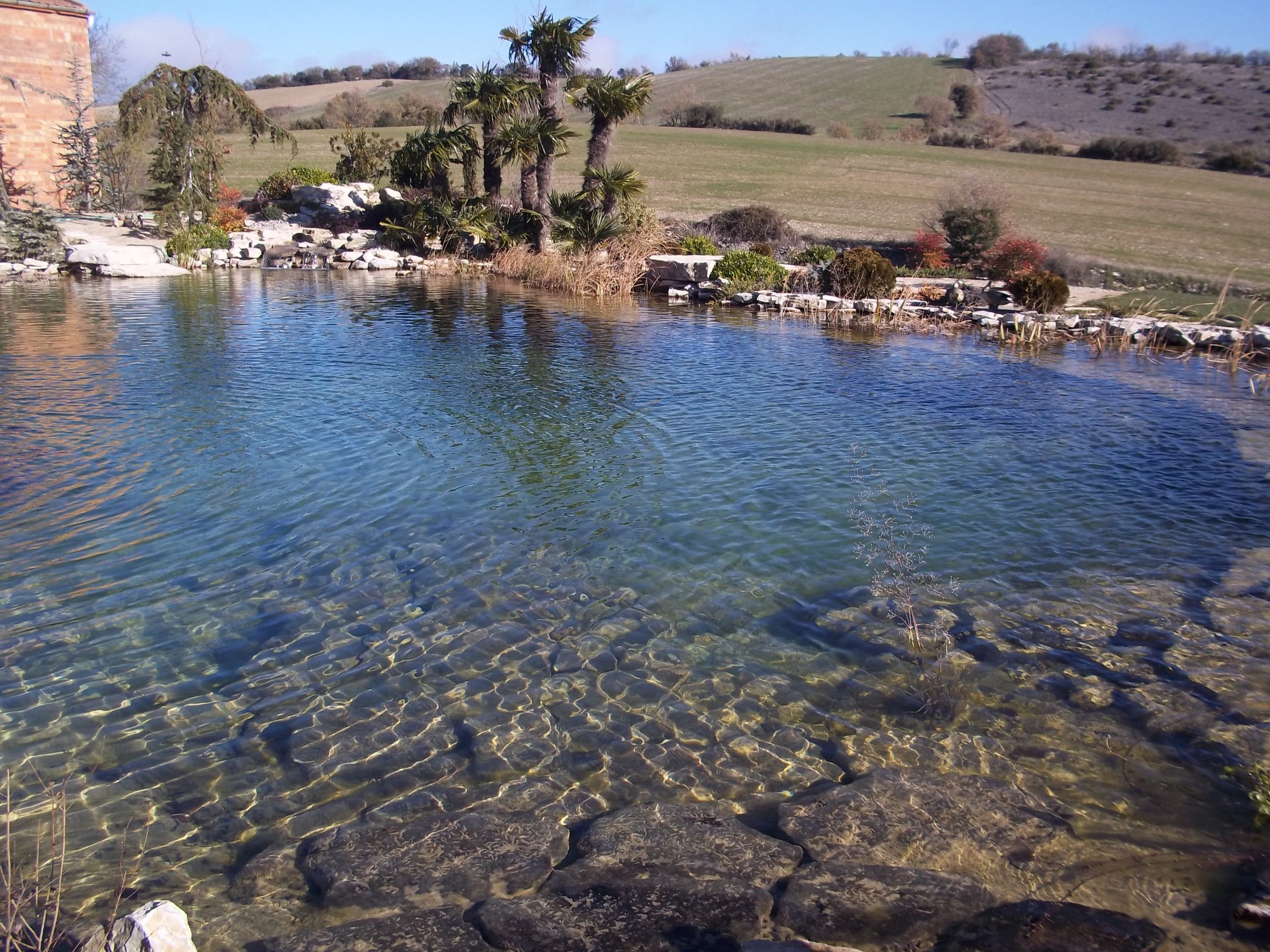 piscina natural en Calaf rodeada de paisaje rural