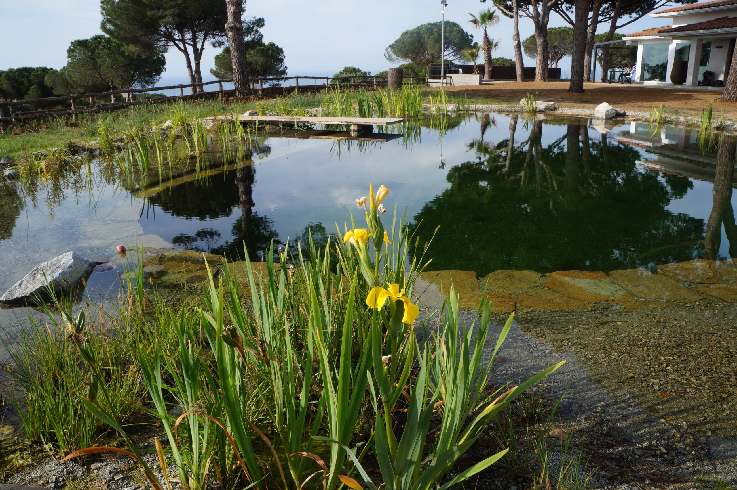 Lago de baño natural en el Maresme con embarcadero de madera