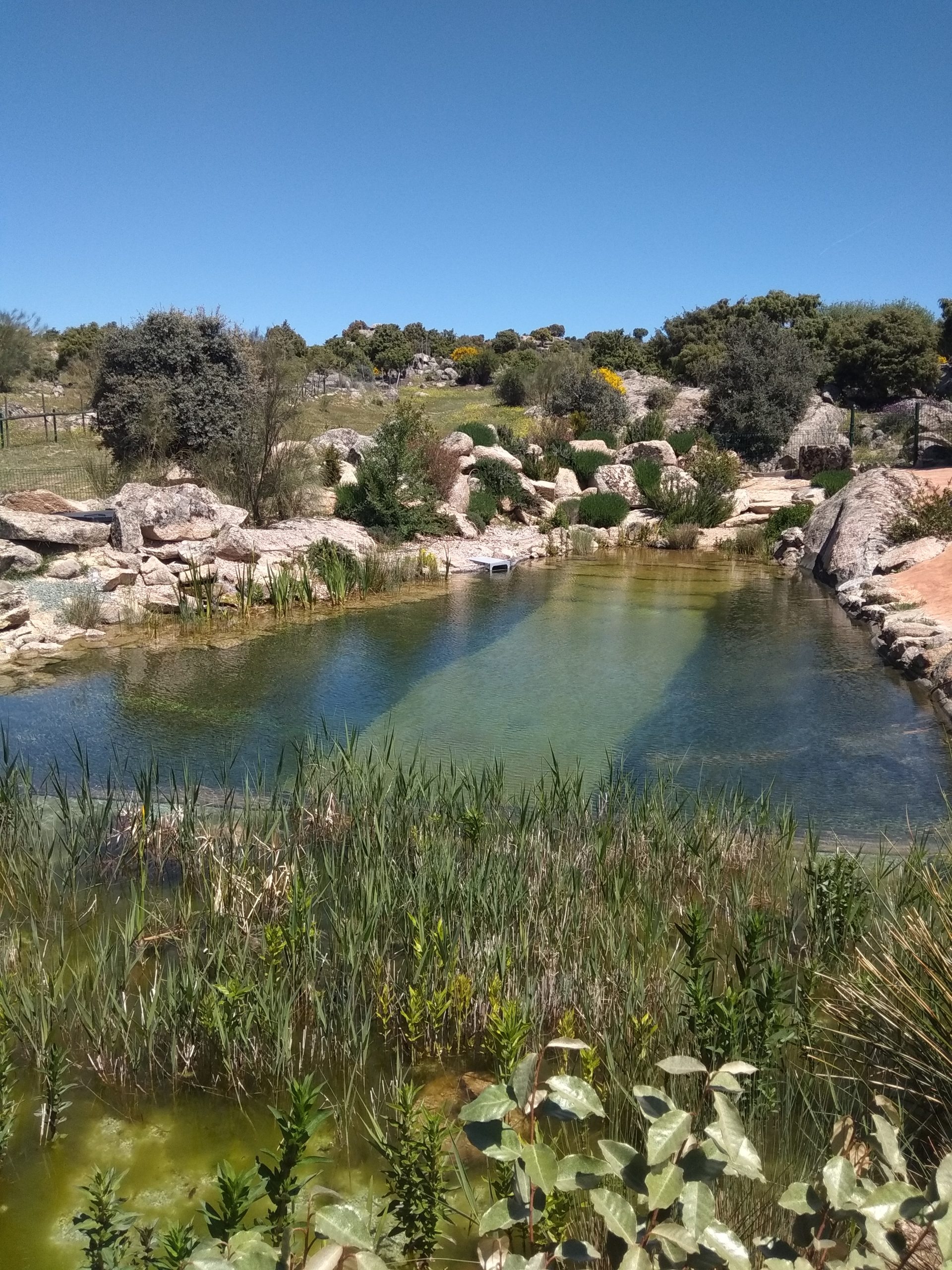 piscina natural en Madrid con agua clara y paisaje rocoso