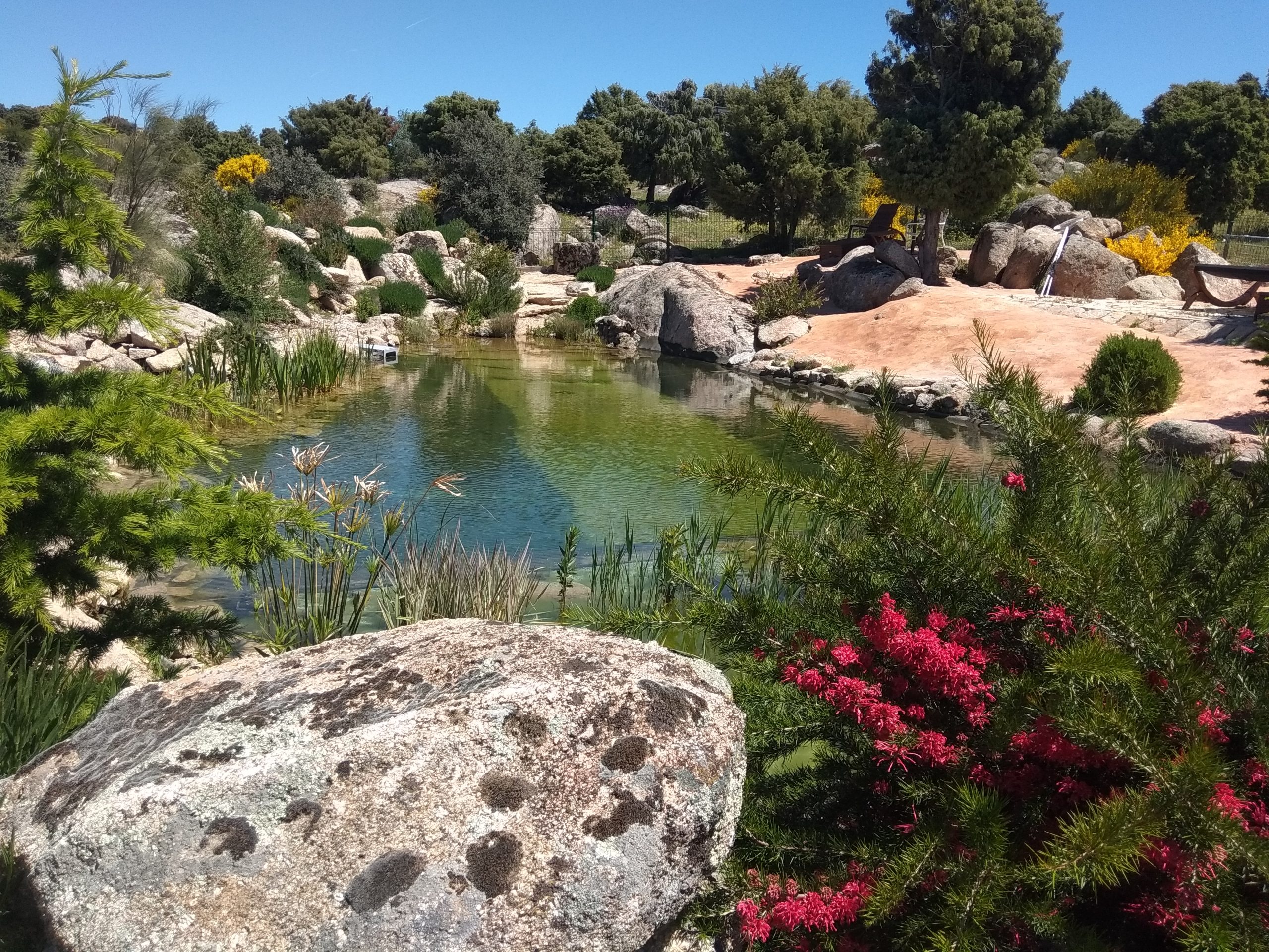 lago natural en Madrid rodeado de rocas y vegetación mediterránea