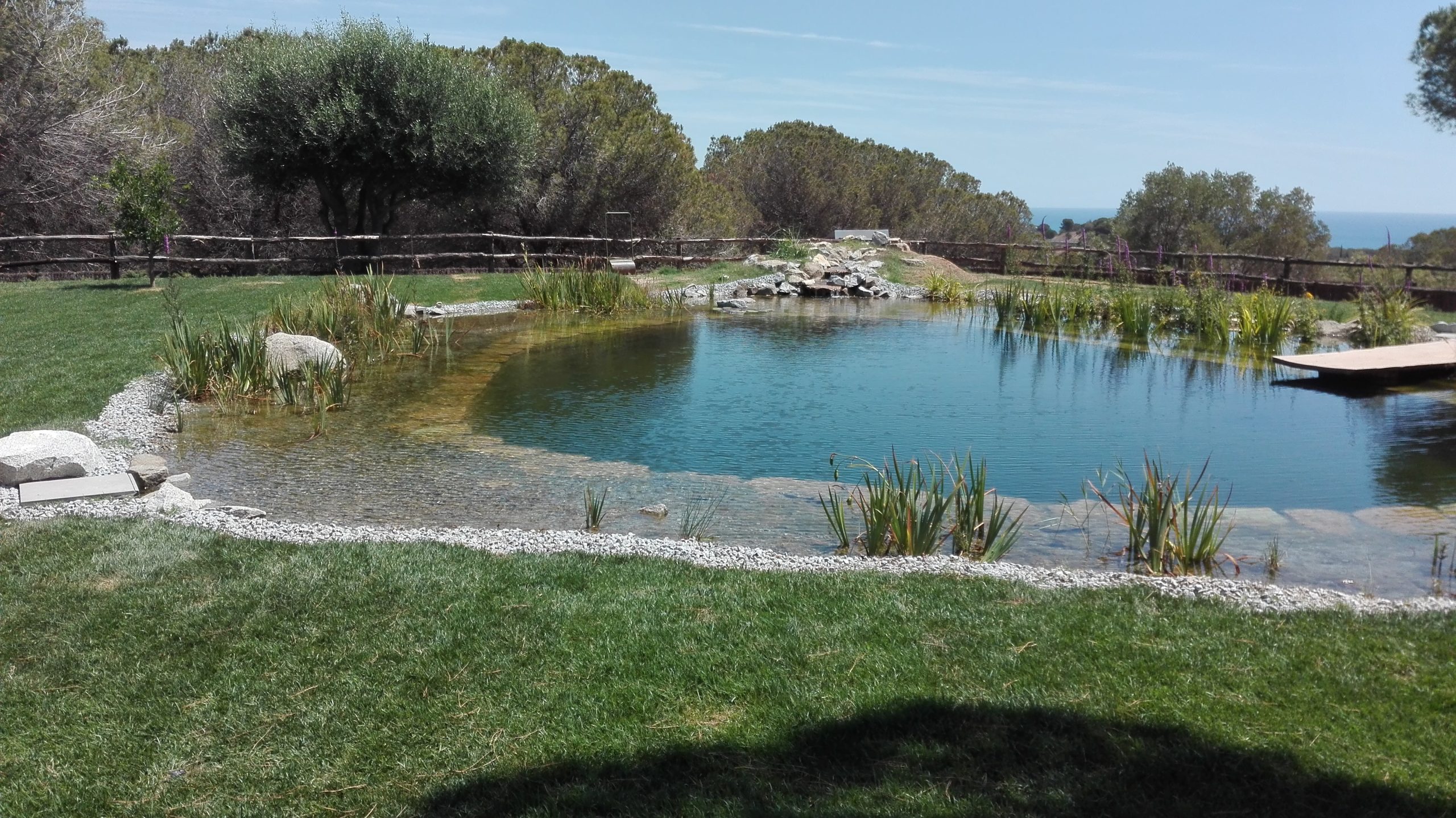 Lago ornamental de baño natural en el Maresme