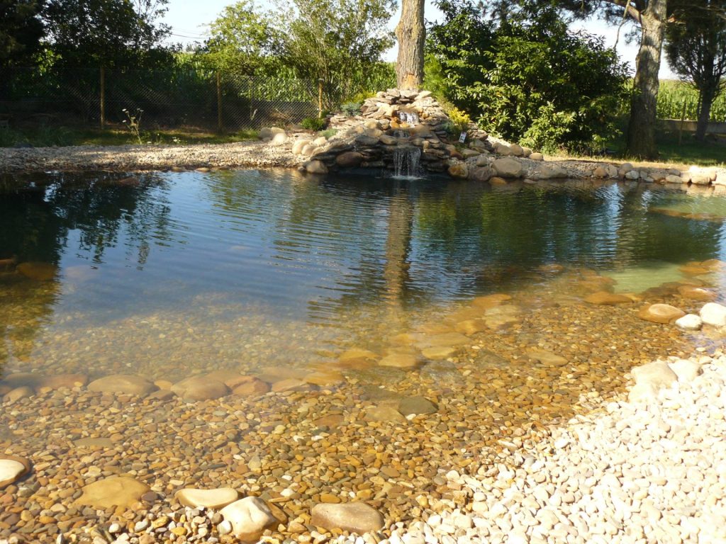 Estanque natural con sistema de filtración biológica y agua transparente