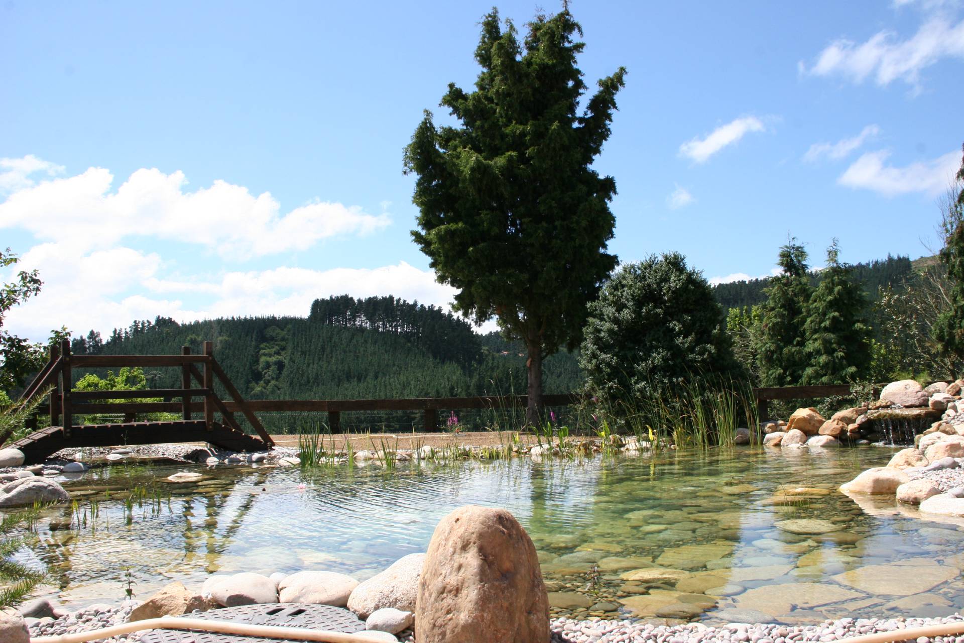 Estanque natural con filtración ecológica integrado en el paisaje