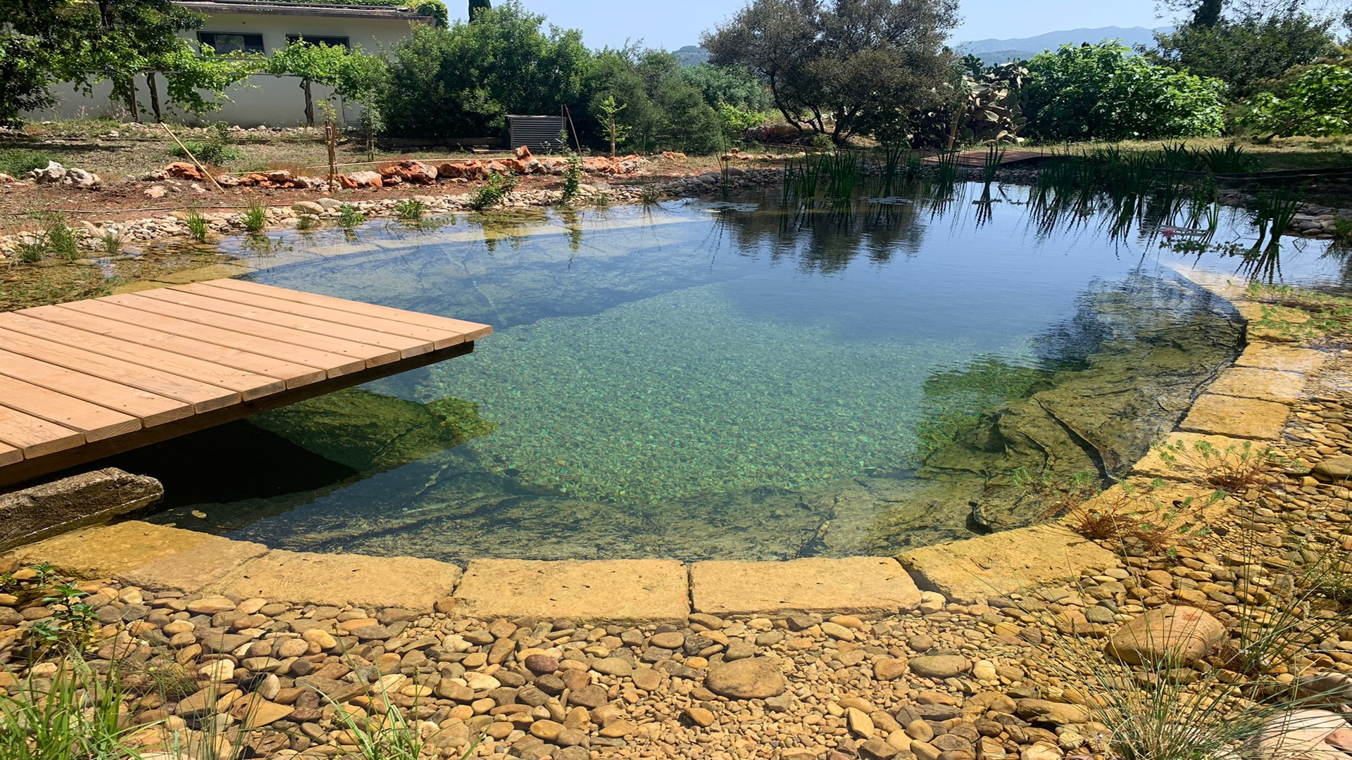 piscina natural en Alicante con embarcadero de madera