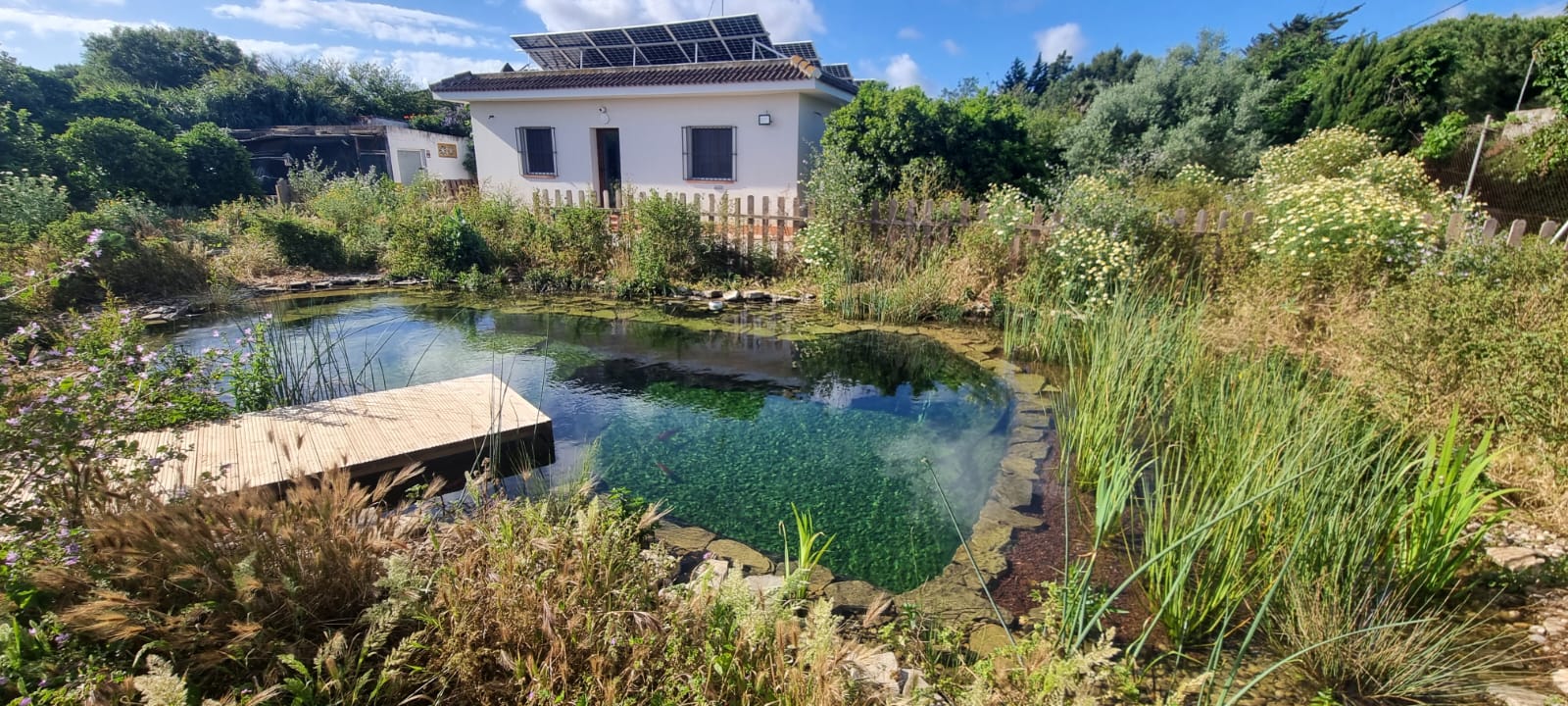 piscina tipo lago en Castellón integrada en vivienda con entorno natural