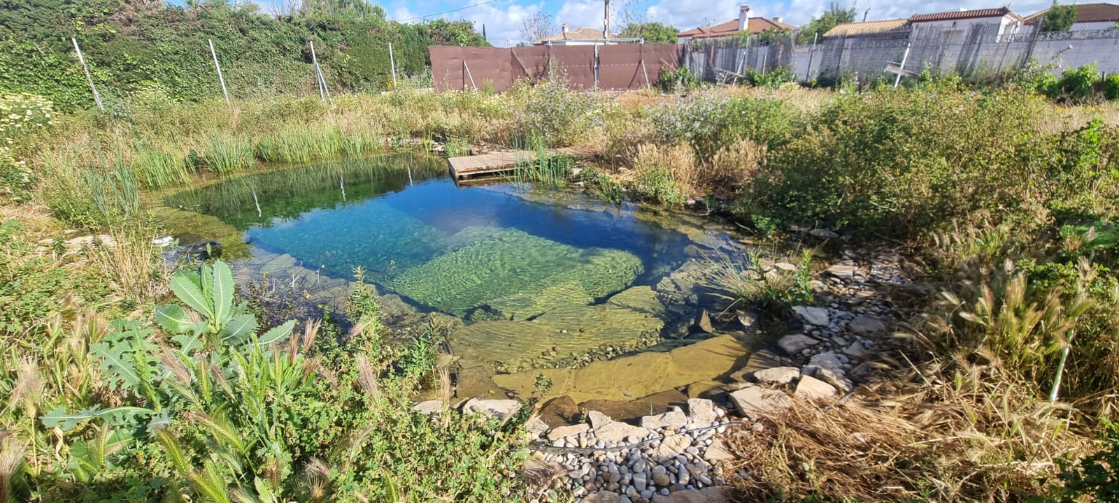 lago piscina natural en Castellón con agua transparente y zona de acceso de madera
