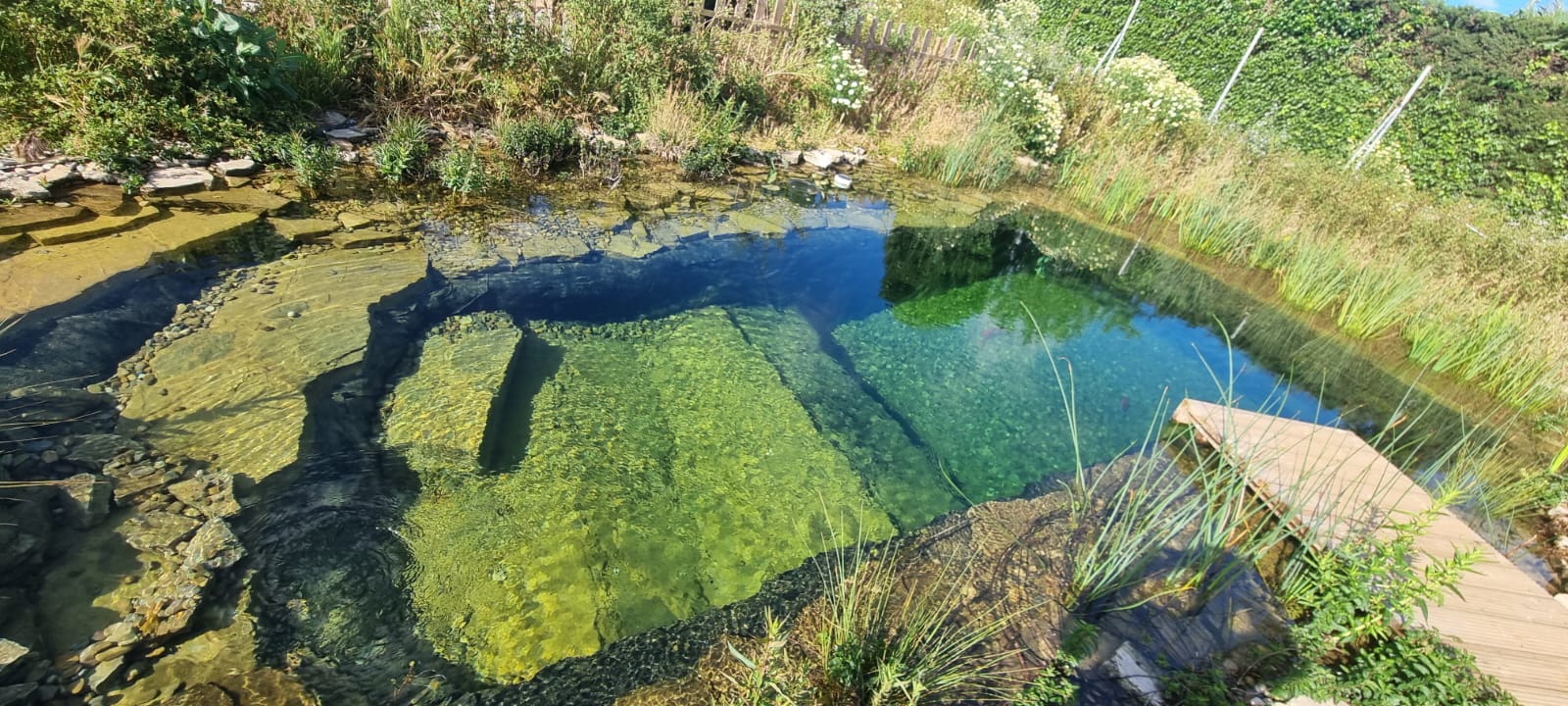 lago ecológico en Castellón con agua verde natural y sistema sostenible